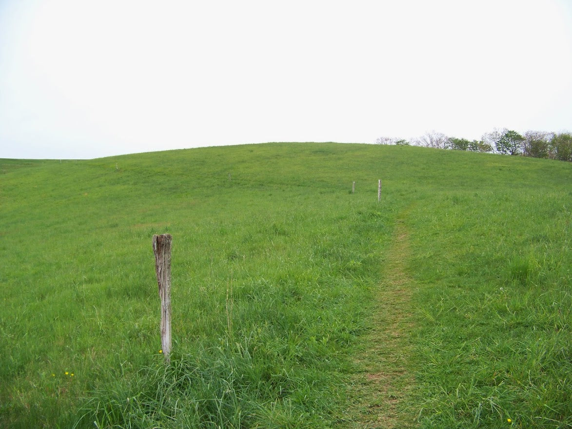 Grassy AT bald *** DIGITAL PHOTO