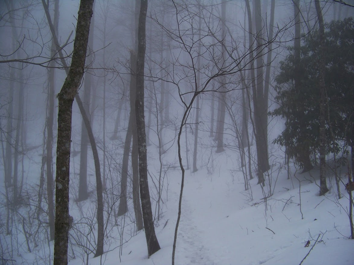 Poor visibility AT snow *** DIGITAL PHOTO