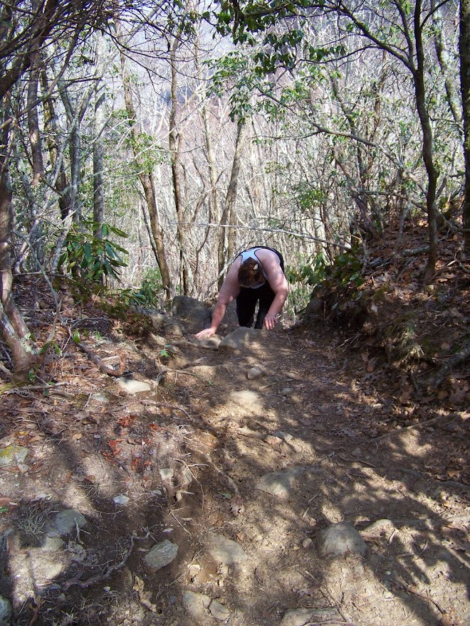 Steep section on Appalachian Trail *** DIGITAL PHOTO