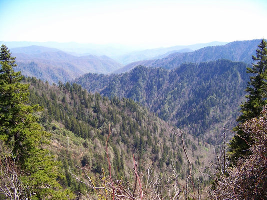 Appalachian Trail gorgeous mountain *** DIGITAL PHOTO