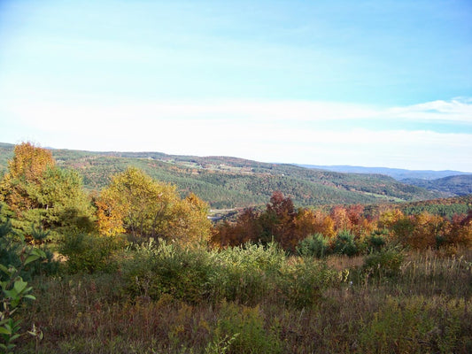 Appalachian Trail vibrant mountain top color *** DIGITAL PHOTO